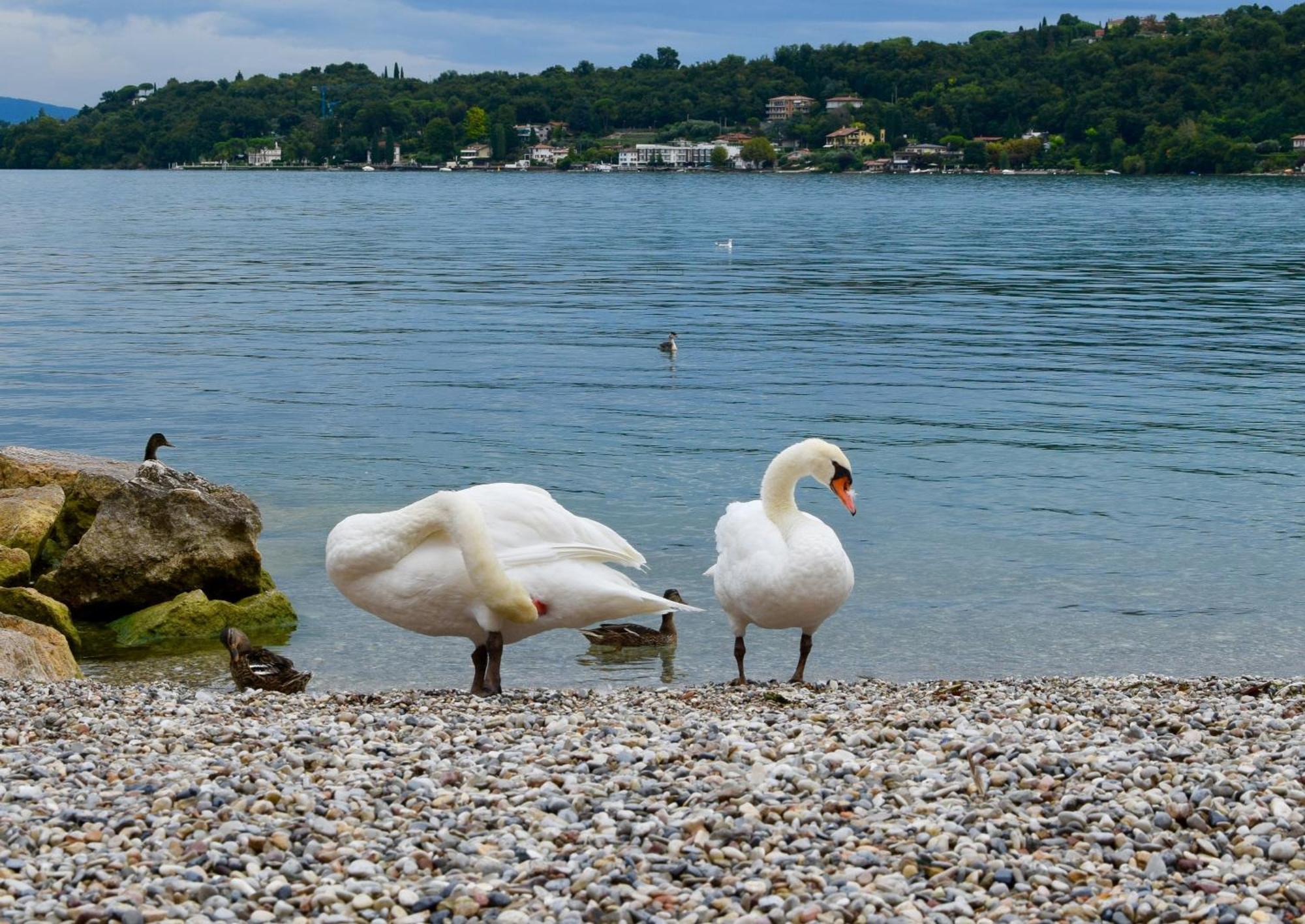 Villa Donne Del Lago Vittoria Salò Eksteriør billede